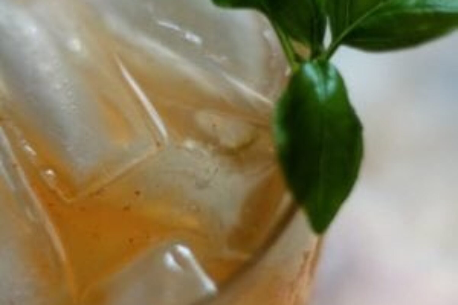 Texas Mule Cocktail Amorada Tequila Recipe