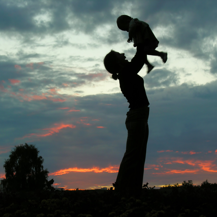 The Purpose Amorada Tequila